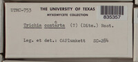 Image Associated With the Occurence